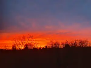 Annelies 01 Saharazand